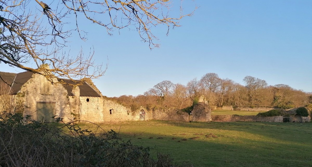 Ruins of medieval abbey at Quarr